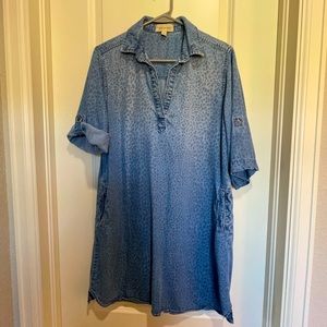 Cloth & Stone dress size Large Denim
